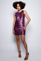 Vestido Mini Bordado Luna Rosa Vestido Joulik 